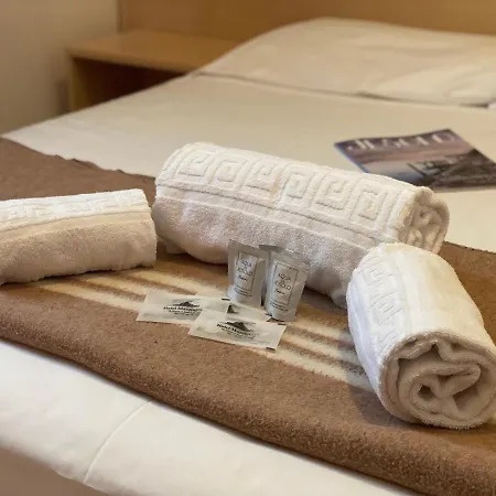 Hotel Mazzini 3*